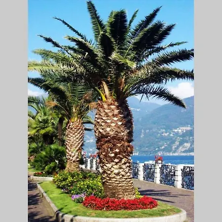 Apartamento Piscina E Vistalago Crocemenaggio Cir 013145-00318 *